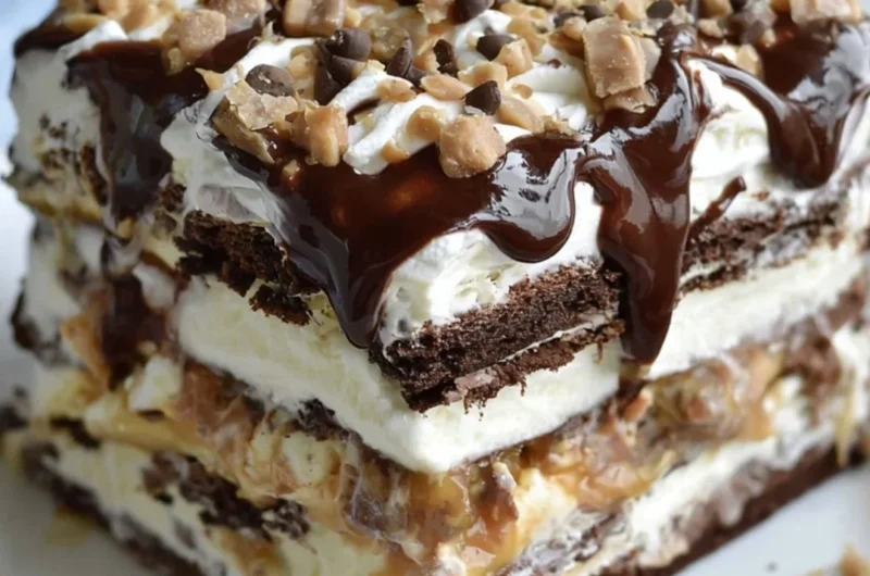Delicious ice cream sandwich cake topped with chocolate and sprinkles
