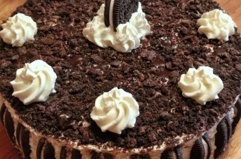 Delicious Oreo ice cream cake topped with Oreo crumbs and whipped cream
